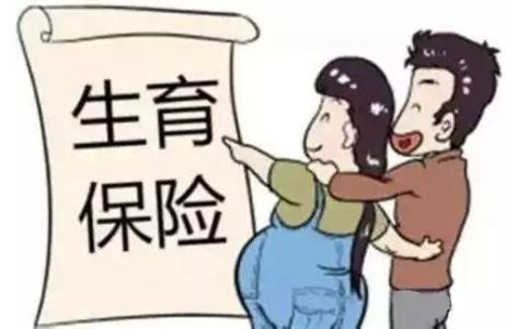 生育保險怎么報銷？ 第1張