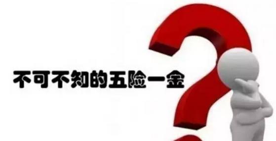 五險一金好還是社保好？ 第1張